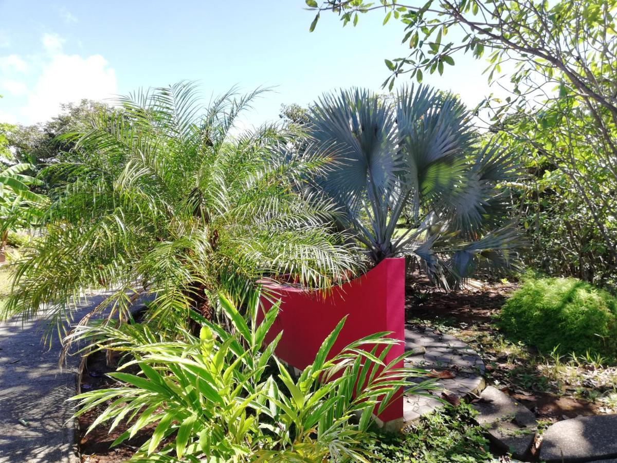 Punta Duarte Garden Inn Los Duarte Zewnętrze zdjęcie