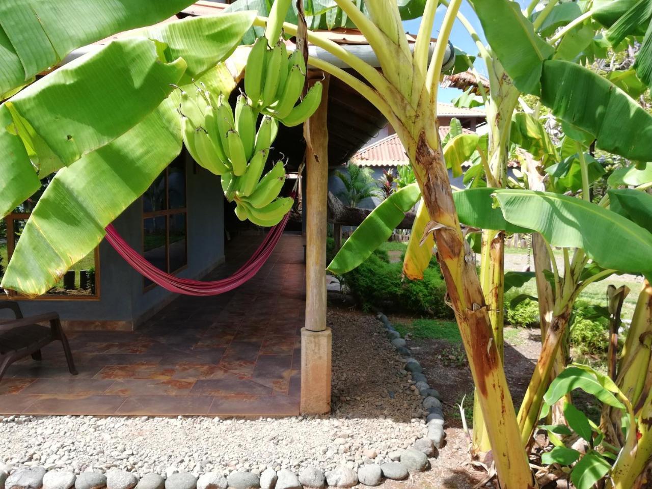 Punta Duarte Garden Inn Los Duarte Zewnętrze zdjęcie